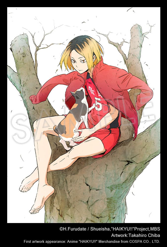 Haikyuu!!: Kenma Kozume Figur 21cm